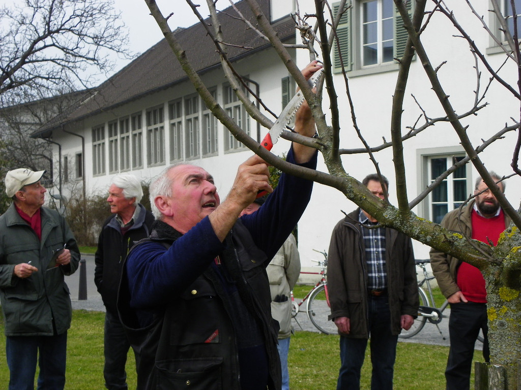 114_0566_JPG-1332458161