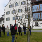 114_0563_JPG-1332458155