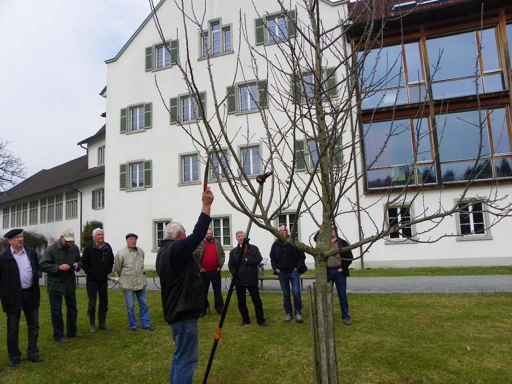 114_0563_JPG-1332458155