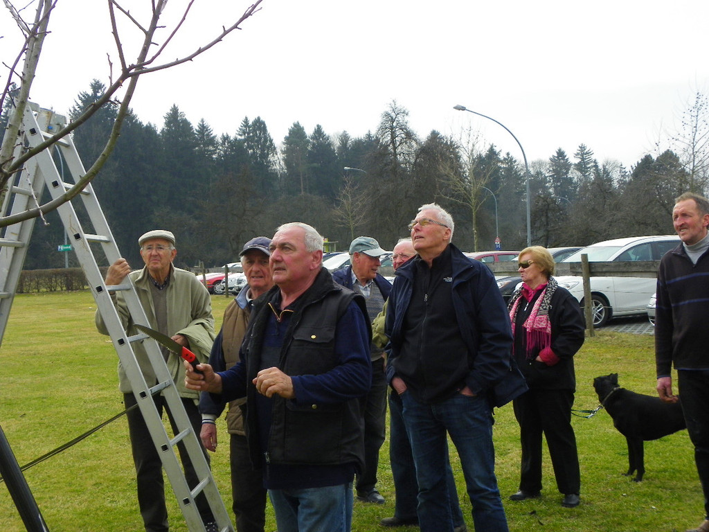 114_0569_JPG-1332458166