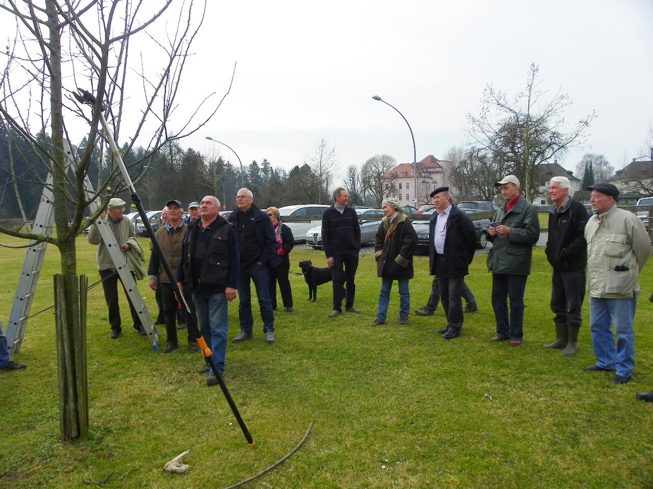 114_0570_JPG-1332458171