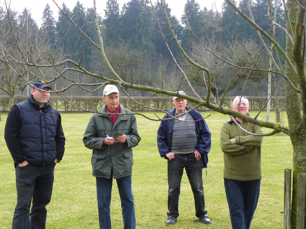 114_0575_JPG-1332458177