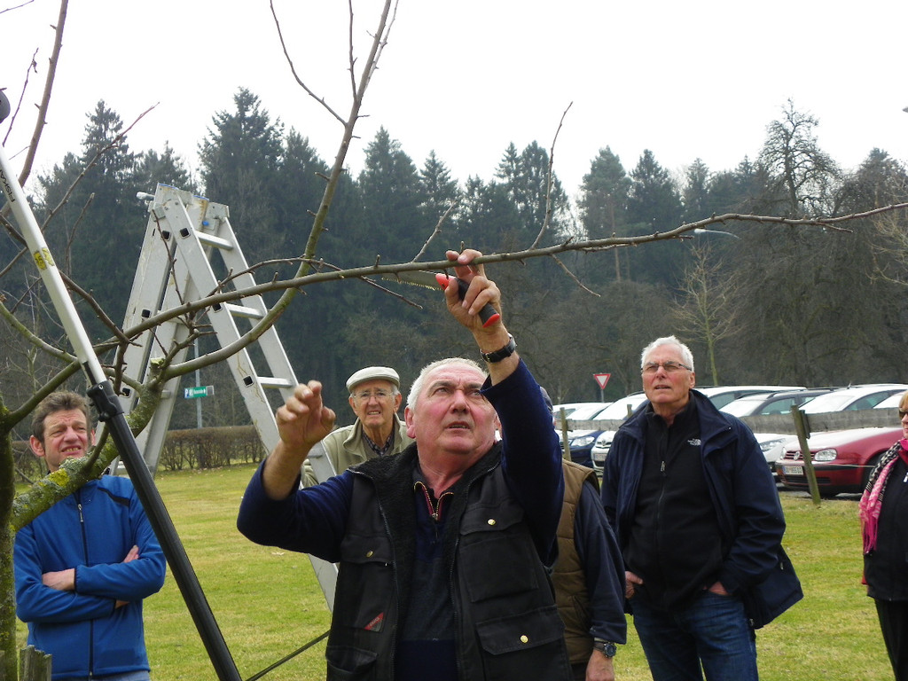 114_0576_JPG-1332458183