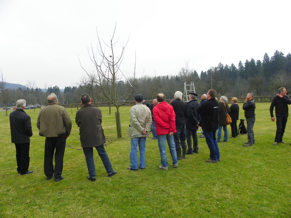 114_0586_JPG-1332458188