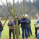 114_0590_JPG-1332458200