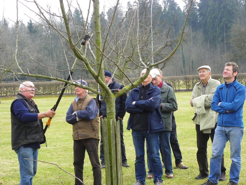 114_0590_JPG-1332458200