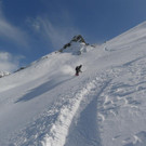 P1010394 _Large_.JPG
