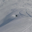 P1010412 _Large_.JPG