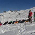P1010441 _Large_.JPG