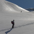 P1010492 _Large_.JPG