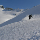 P1010510 _Large_.JPG