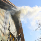 Brand Go__fis07.jpg