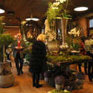 blumen2_jpg-1332518412