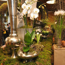 blumen9_jpg-1332518498