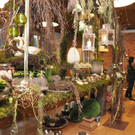 blumen10_jpg-1332518515
