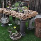 blumen13_jpg-1332518559