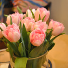 blumen19_jpg-1332518644