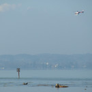 k-SAM_0198.JPG