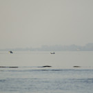 ABD0109-20120323.jpg