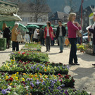 Wochenmarkt Eröffnung in Götzis
