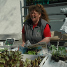 G__tzner Markt_VHotz _6__JPG-1332593079