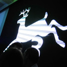 Platzhirsch05 _3_.jpg