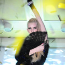 Platzhirsch05 _5_.jpg