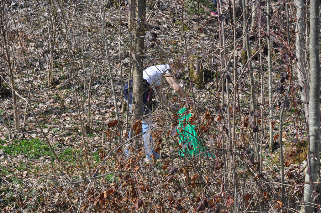 DSC_0076_JPG-1332657046