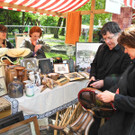 Baum 095_jpg-1332659156