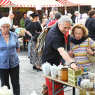 Baum 145_jpg-1332659429