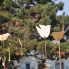 basar18_jpg-1332661619