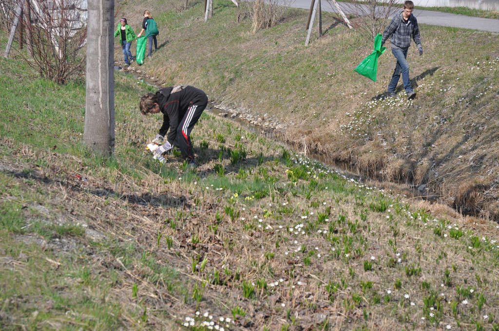 DSC_0108_JPG-1332667286