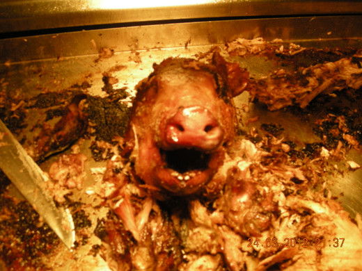 DSCN4538_JPG-1332684594