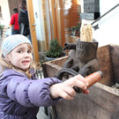 IMG_5211_jpg-1332691516