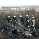 presse11.JPG
