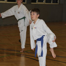 mini-IMG_7019_JPG-1332703239