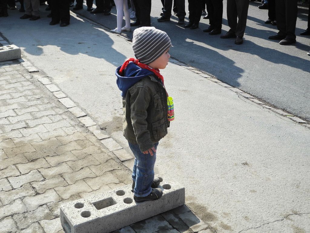 DSCN1636_jpg-1332741084