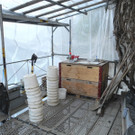 DSCN1534_jpg-1332745455