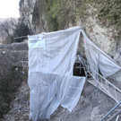 DSCN1535_jpg-1332745482