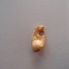 DSCN1545_JPG-1332745657