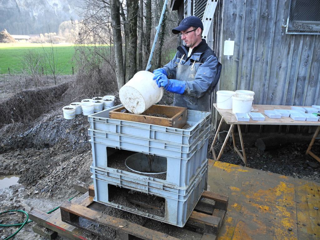 DSCN1551_jpg-1332745731