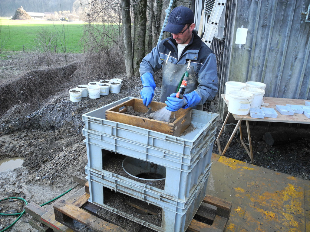 DSCN1552_jpg-1332745758