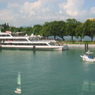IMG_5344.JPG