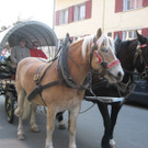 IMG_4159_JPG-1332752577