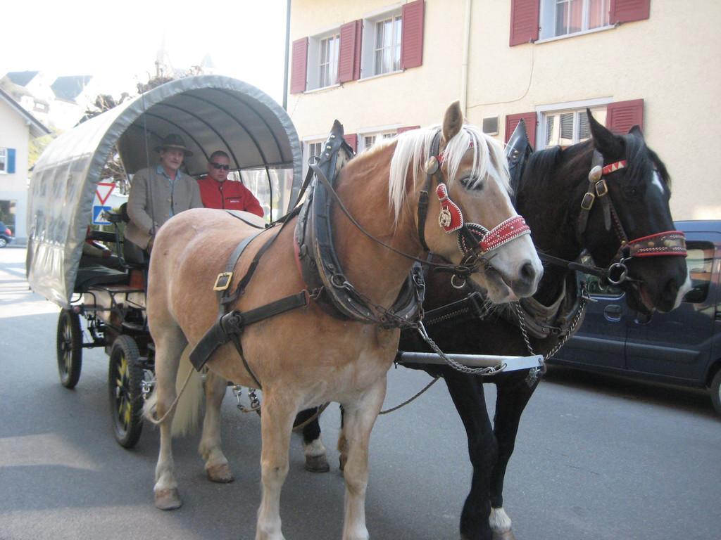 IMG_4159_JPG-1332752577