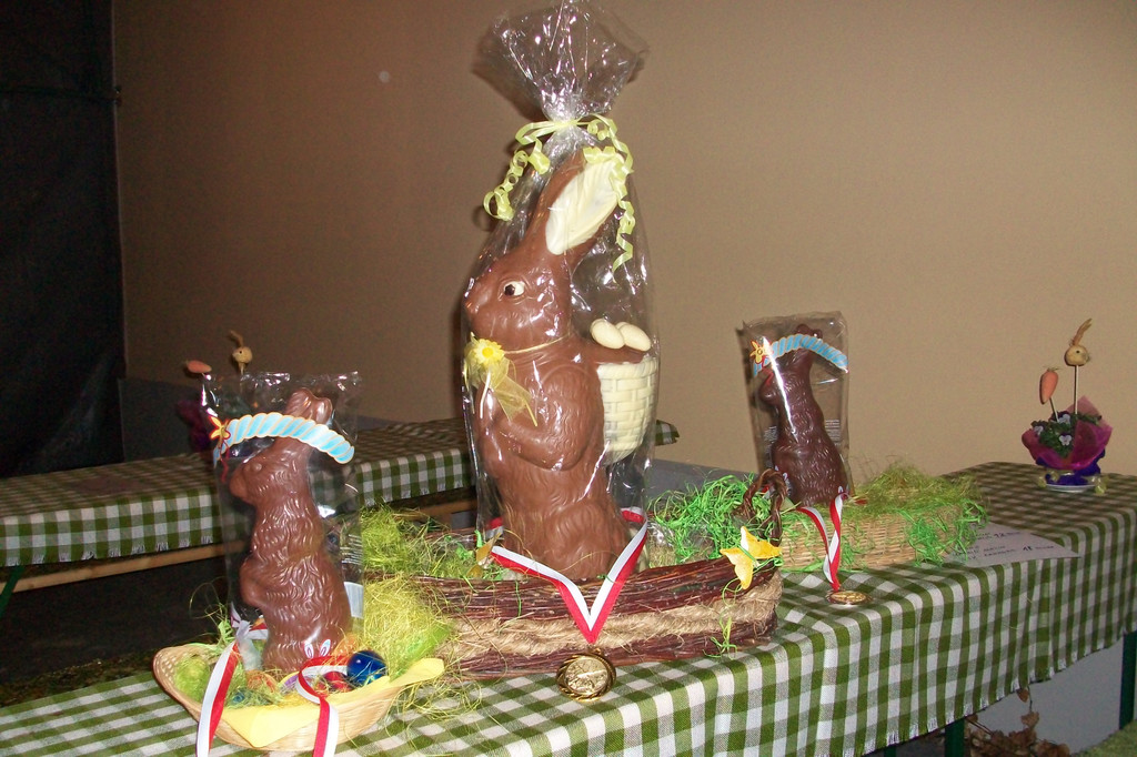 100_0382_jpg-1332755587