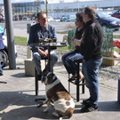 hund_jpg-1332757383