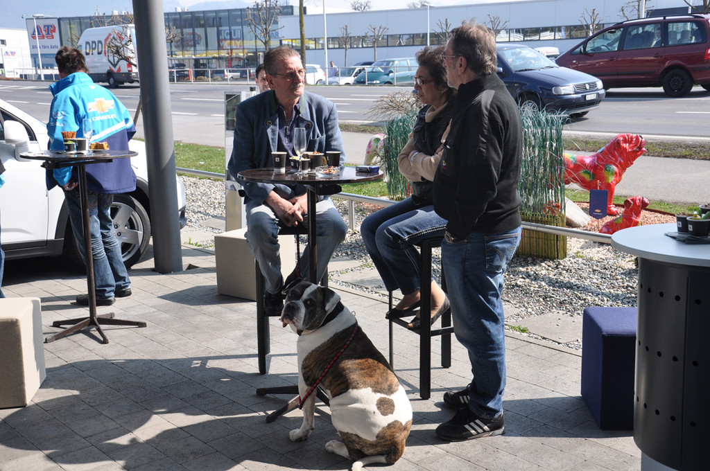 hund_jpg-1332757383