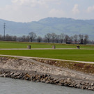 Rheinbr__cke01.JPG