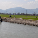 Rheinbr__cke03.JPG